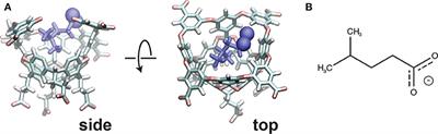 On Calculating Free Energy Differences Using Ensembles of Transition Paths